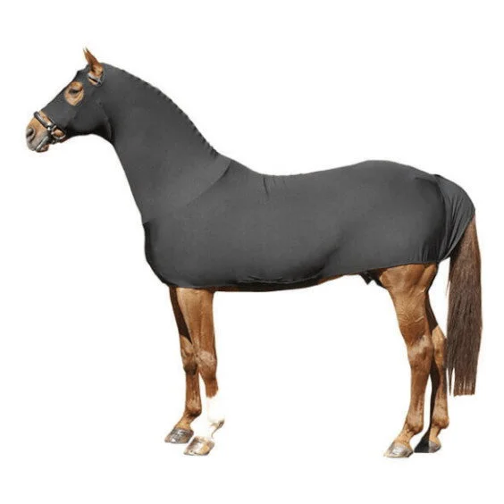 fundis-equestrian202607250331373316211