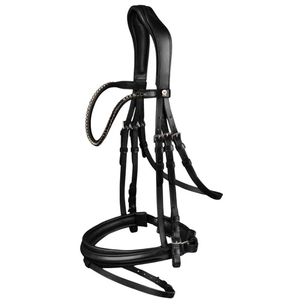 fundis-equestrian202607250333313316408