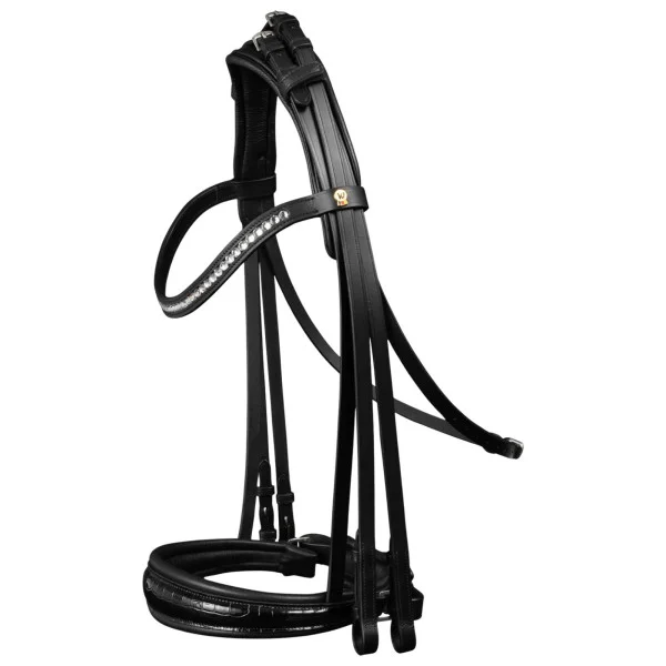 fundis-equestrian202607250334383316525