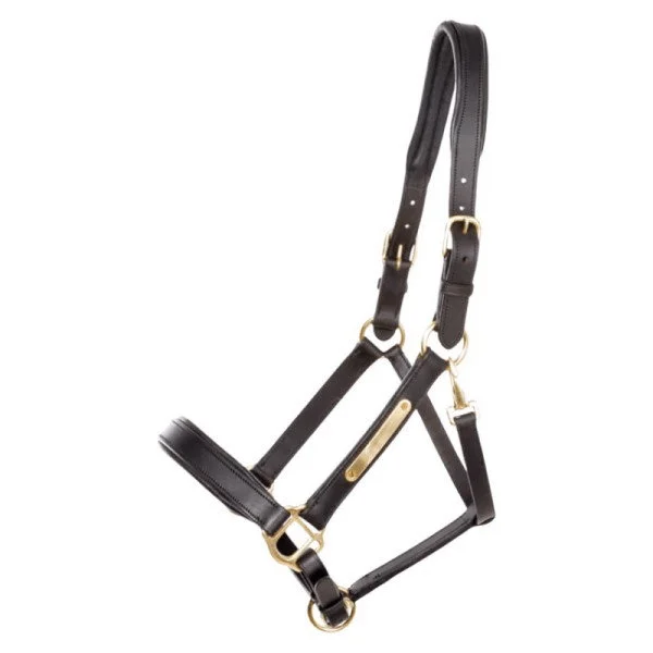 fundis-equestrian202607250337363316858