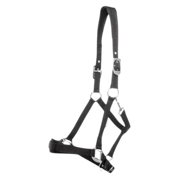 fundis-equestrian202607250338273316961