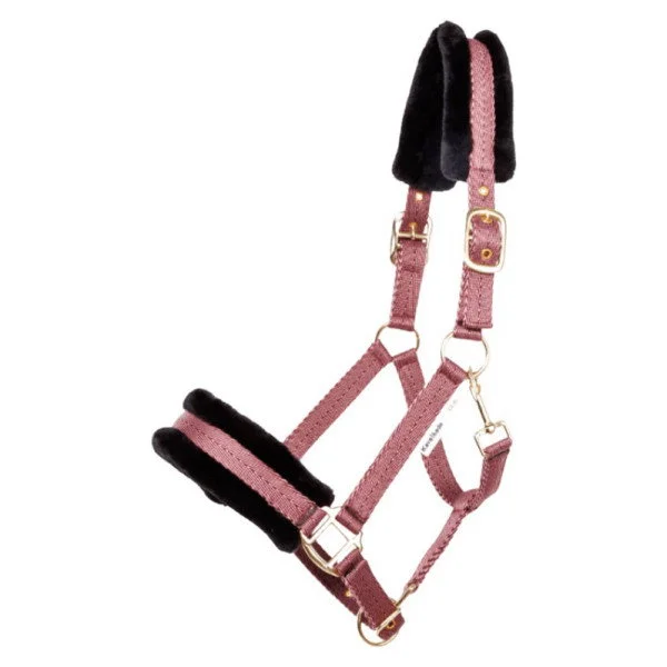 fundis-equestrian202607250338343316971