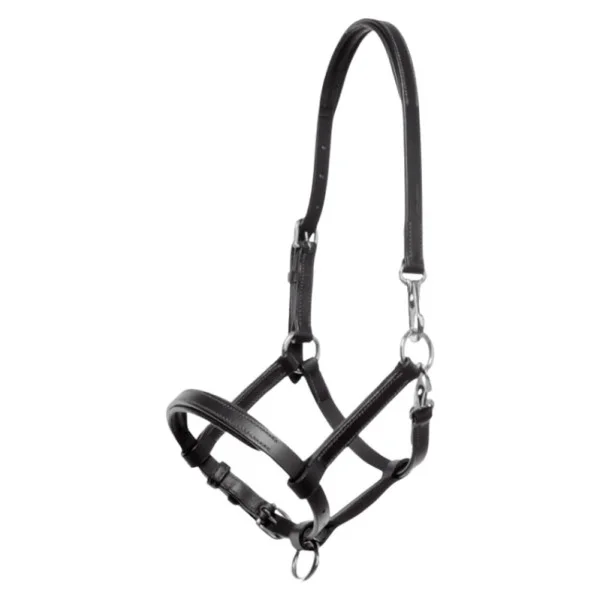 fundis-equestrian202607250338513317006
