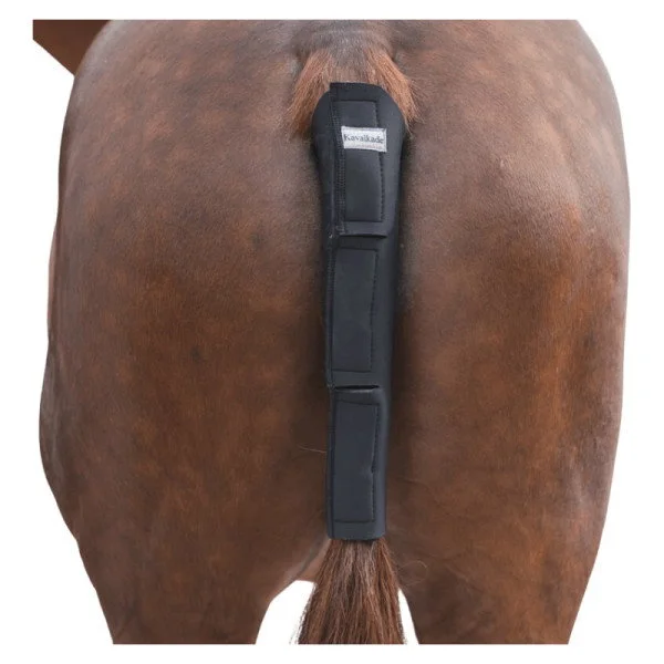 fundis-equestrian202607250339013317021