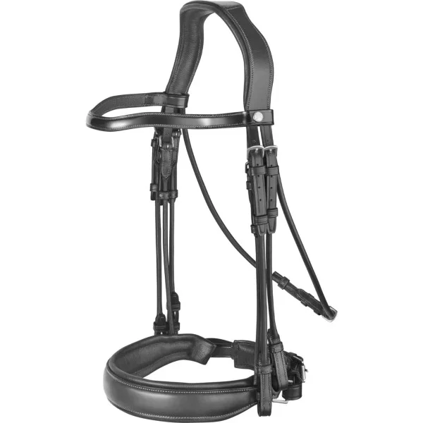 fundis-equestrian202607250339583317135