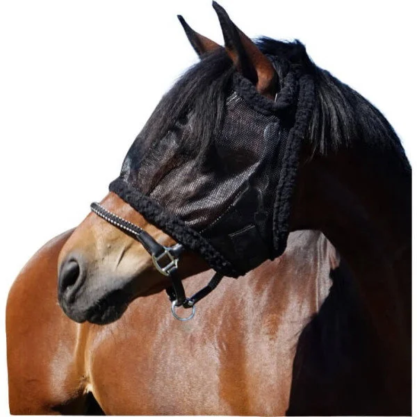 fundis-equestrian202607250340413317223