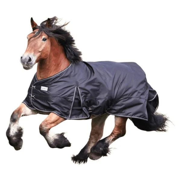 fundis-equestrian202607250340443317234