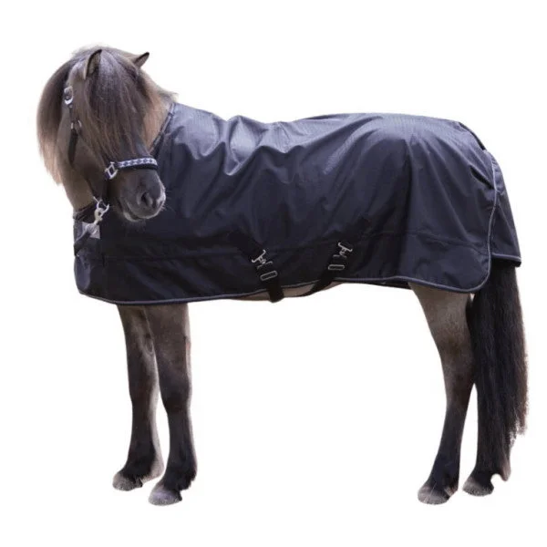 fundis-equestrian202607250340493317246