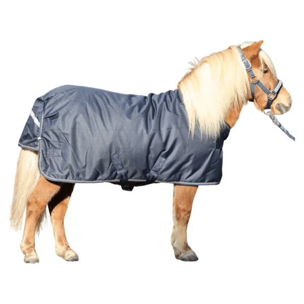 fundis-equestrian202607250342483317462