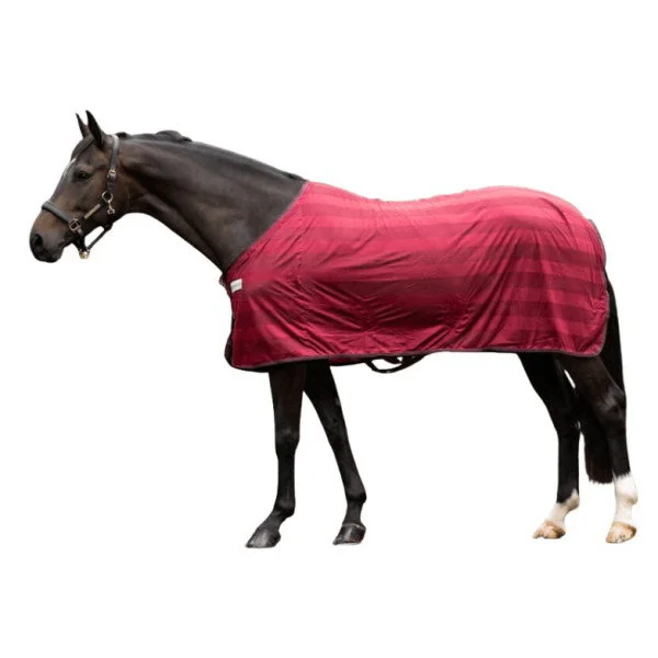 fundis-equestrian202607250344473317671