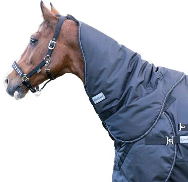 fundis-equestrian202607250345123317717