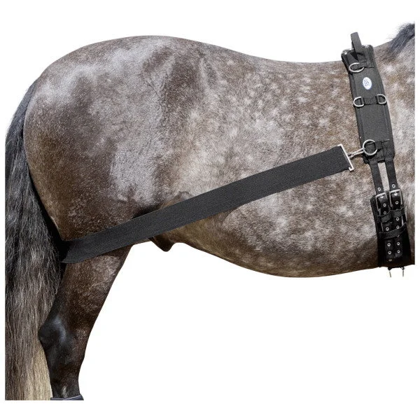 fundis-equestrian202607250348513318116