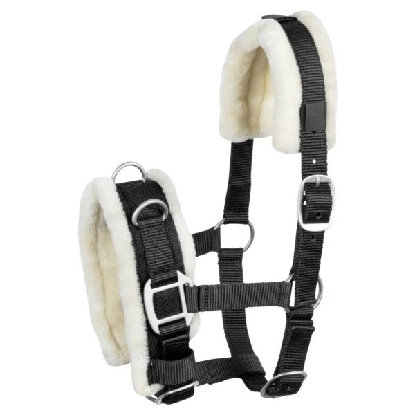 fundis-equestrian202607250349033318137
