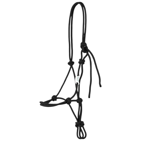 fundis-equestrian202607250349263318176