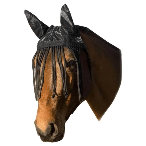 fundis-equestrian202607250350373318313