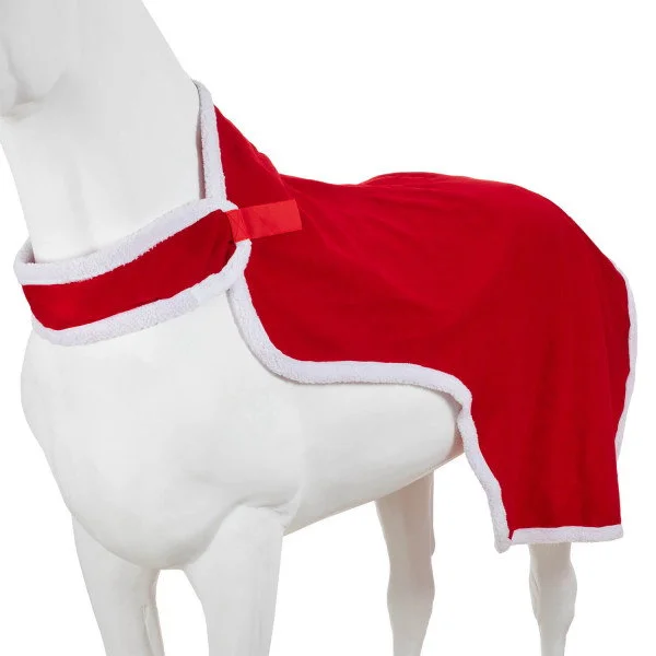 fundis-equestrian202607250354333318738