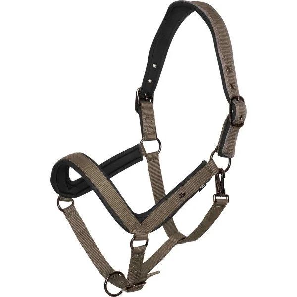 fundis-equestrian202607250401403319459