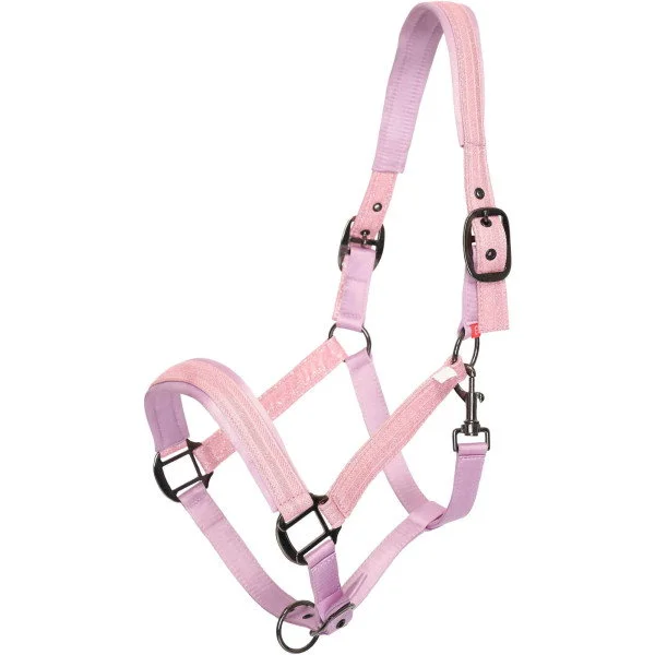 fundis-equestrian202607250405083319798
