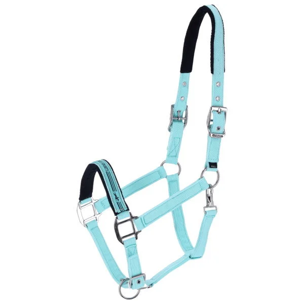 fundis-equestrian202607250416293320880