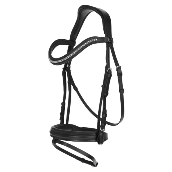 fundis-equestrian202607250420433321349