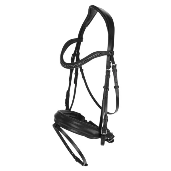 fundis-equestrian202607250420453321351