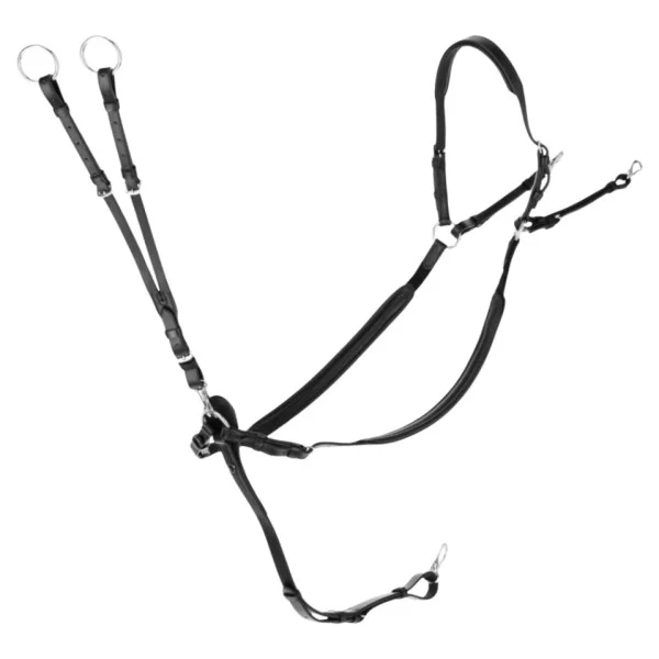 fundis-equestrian202607250421083321386
