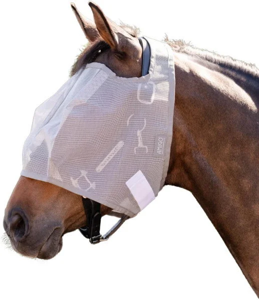 fundis-equestrian202607250426183321869