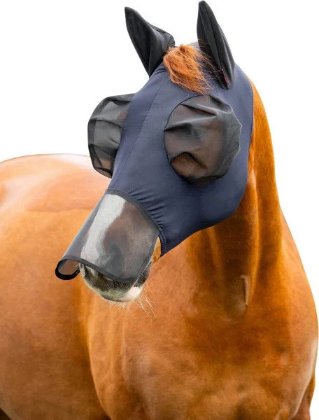 fundis-equestrian202607250426263321886