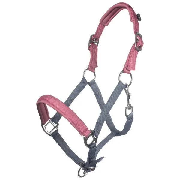 fundis-equestrian202607250426493321914