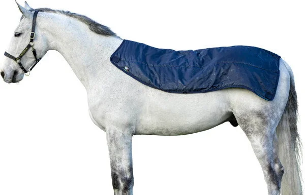 fundis-equestrian202607250428023322012