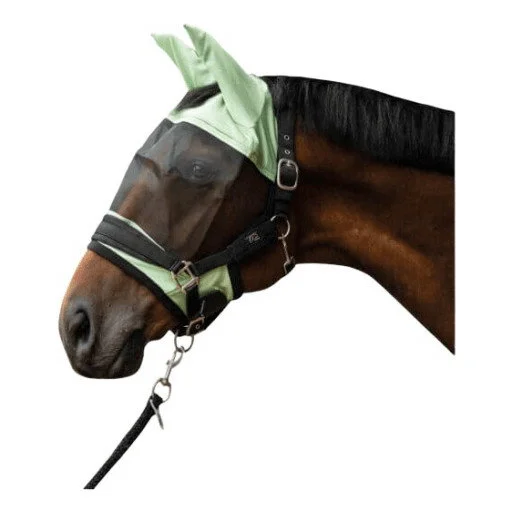 fundis-equestrian202607250428423322082