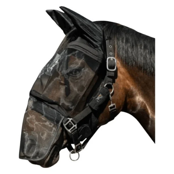 fundis-equestrian202607250428503322096