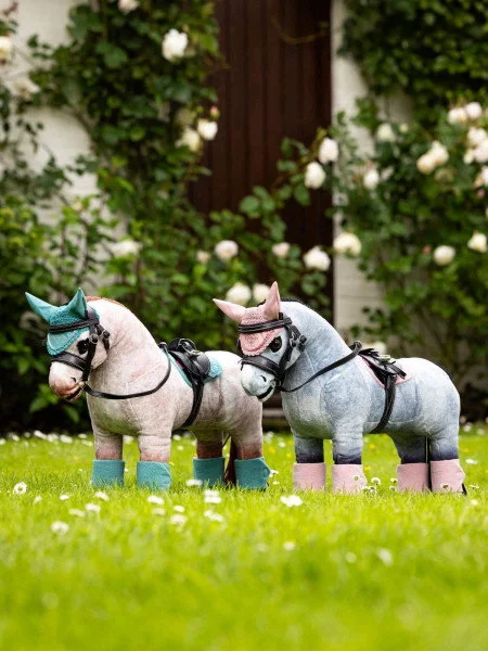 fundis-equestrian202607250429443322174