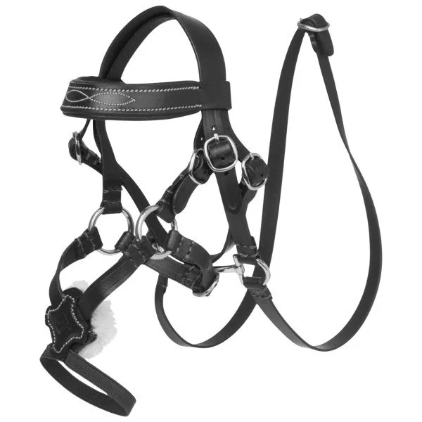 fundis-equestrian202607250429553322189