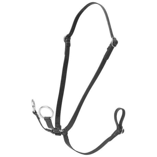 fundis-equestrian202607250430243322245