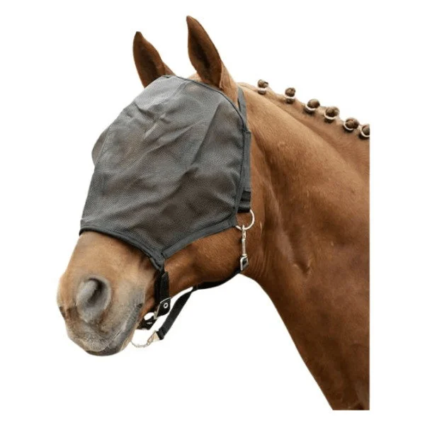 fundis-equestrian202607250430273322252
