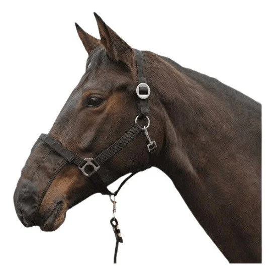 fundis-equestrian202607250431093322318