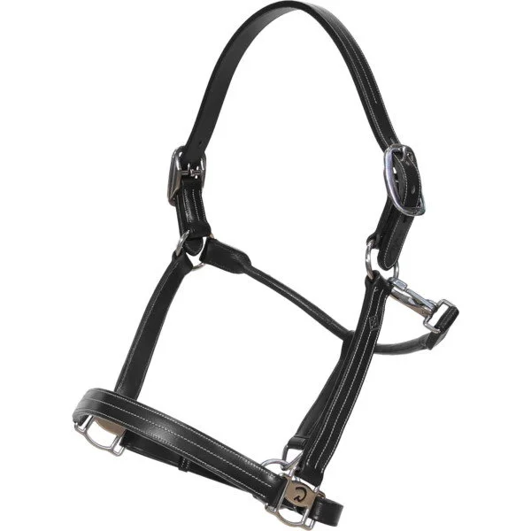 fundis-equestrian202607250432413322442