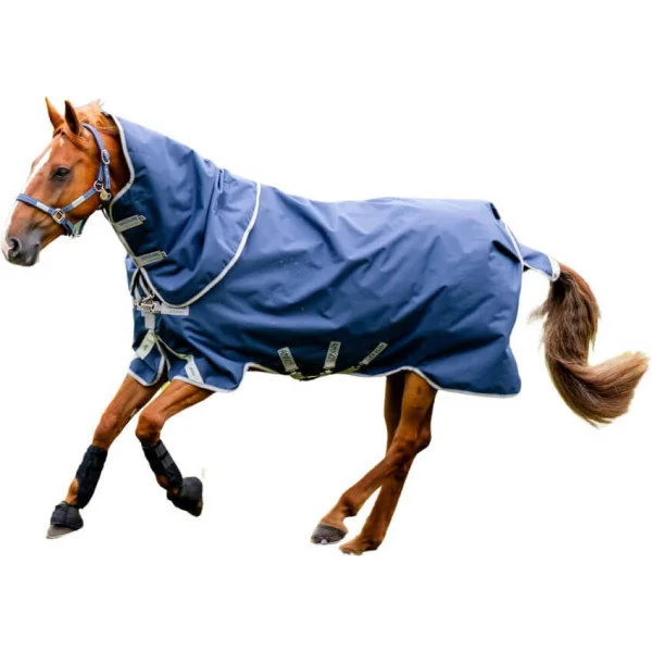 fundis-equestrian202607250433053322478