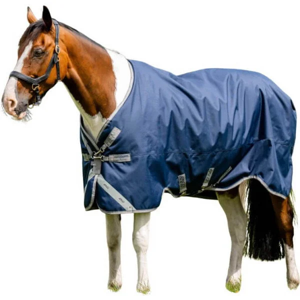 fundis-equestrian202607250434223322585