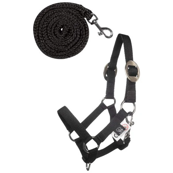 fundis-equestrian202607250434393322612