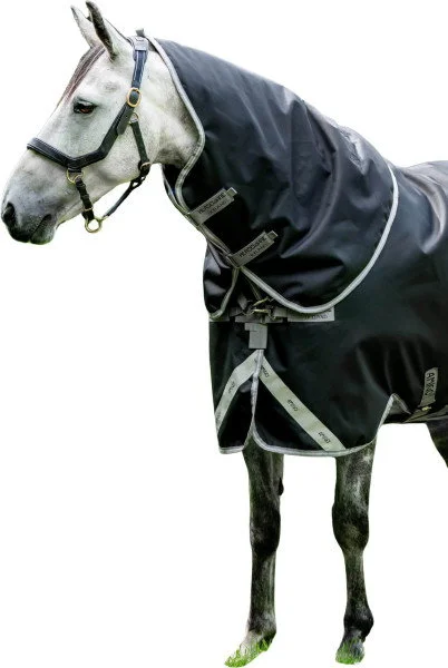 fundis-equestrian202607250435013322637