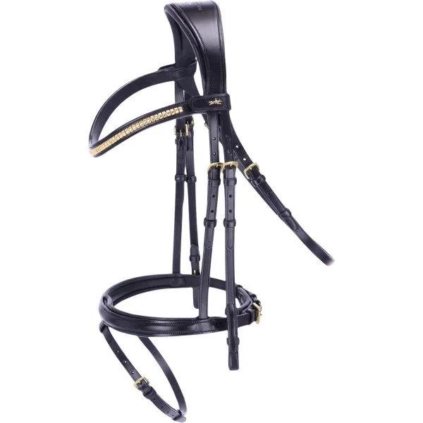 fundis-equestrian202607250437263322826