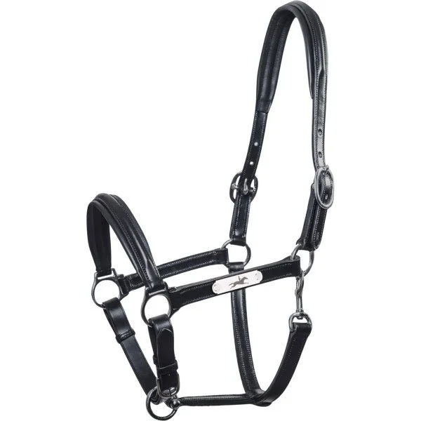 fundis-equestrian202607250437463322858