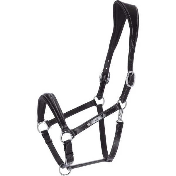 fundis-equestrian202607250437513322867