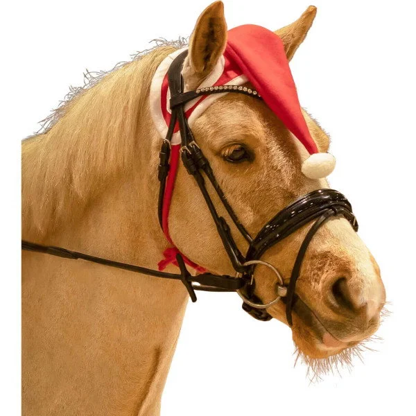 fundis-equestrian202607250438323322925