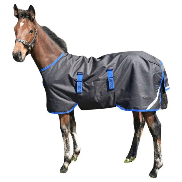 fundis-equestrian202607250439133322991