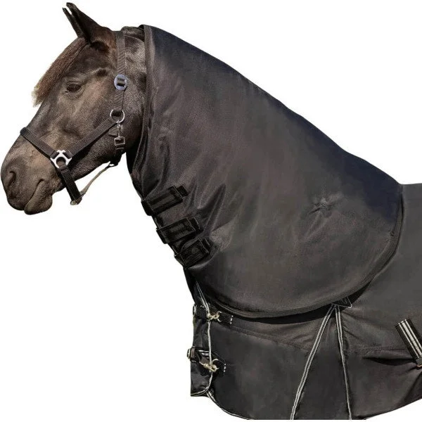fundis-equestrian202607250440263323129