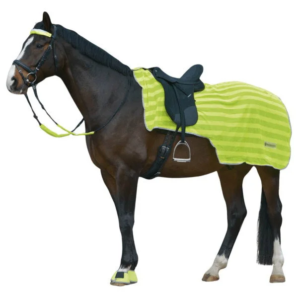 fundis-equestrian202607250441503323303