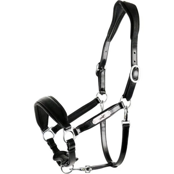 fundis-equestrian202607250442493323421